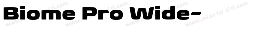 Biome Pro Wide字体转换